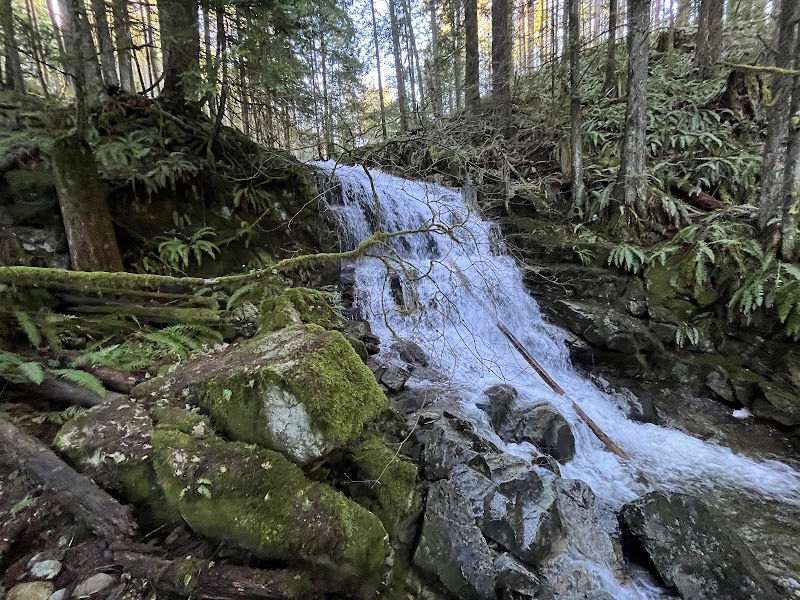 Waterfall Wonders at Mike Falls in Maple Ridge - Mike Falls