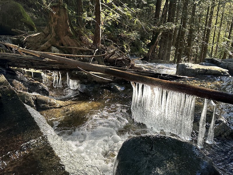 Waterfall Wonders at Mike Falls in Maple Ridge - Mike Falls