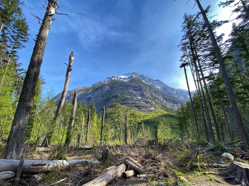 Discover the Serene Beauty of Avalanche Lake surrounding landscape