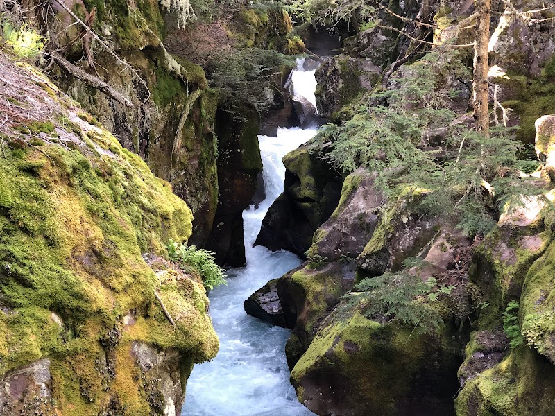 Discover the Serene Beauty of Avalanche Lake - Avalanche Lake Trailhead