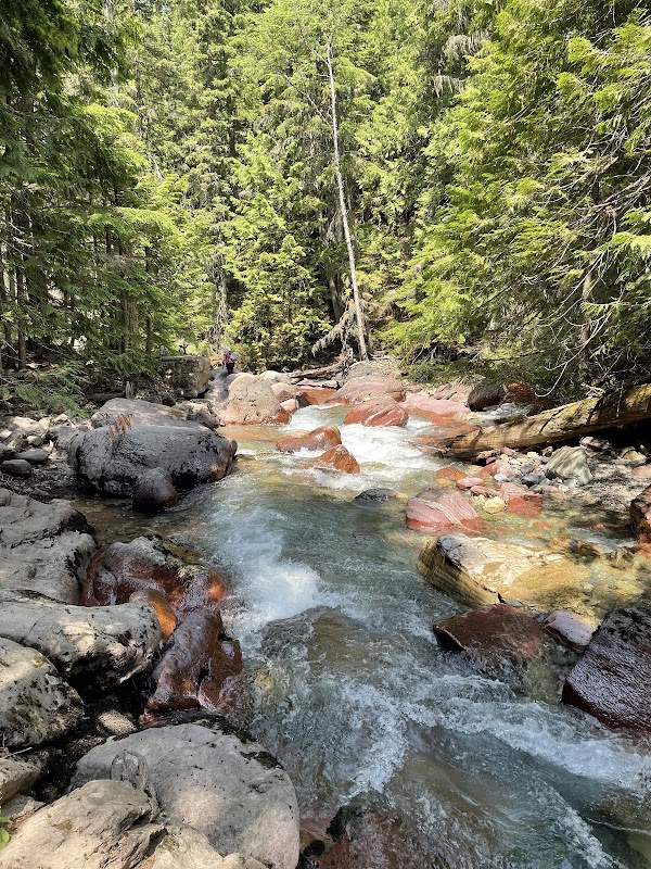Discover the Serene Beauty of Avalanche Lake outdoor detail