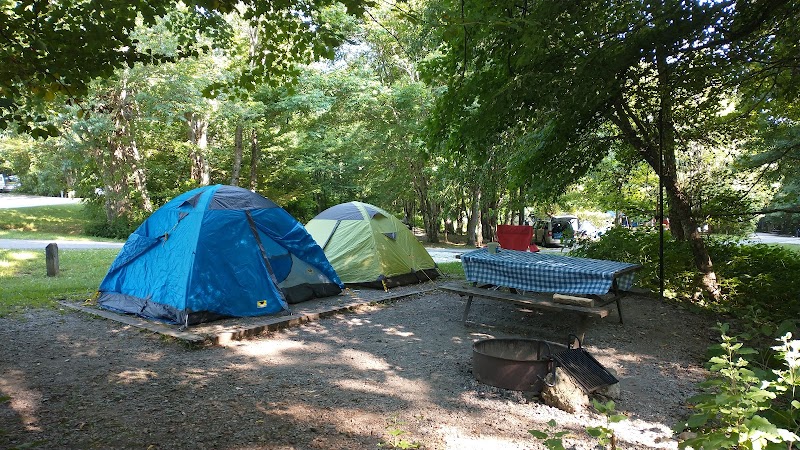 Exploring Grayson Highlands Campground: Virginia's Hidden Gem outdoor detail