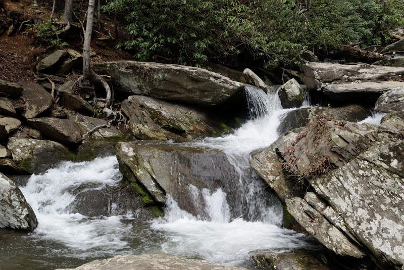 Explore the Natural Splendor of Cohutta Wilderness Trails surrounding landscape
