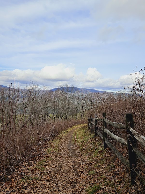 Scenic Splendor at Cohutta Overlook outdoor detail