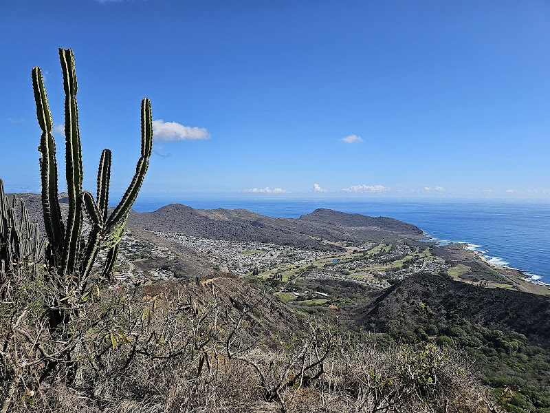 Ascending the Koko Crater Stairs - Koko Crater Stairs (Summit)