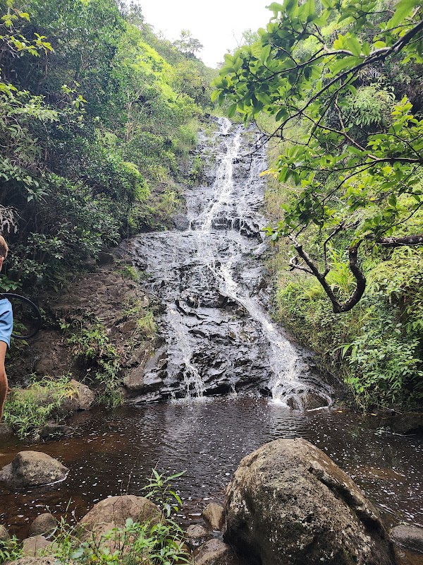 Nature's Retreat: Kaʻau Crater Trail - Kaʻau Crater Trail
