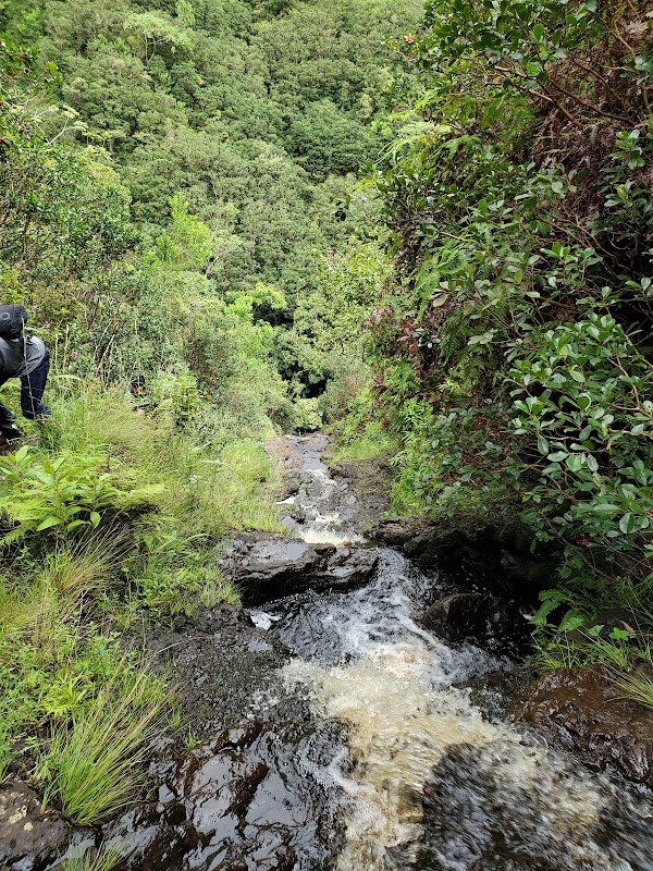 Nature's Retreat: Kaʻau Crater Trail - Kaʻau Crater Trail