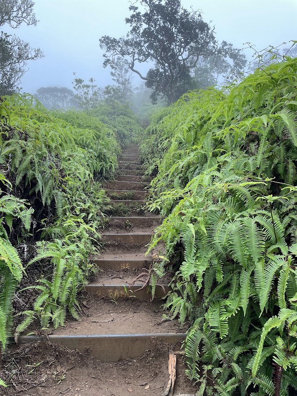 Hiking the Kuli‘ou‘ou Ridge Trail in Honolulu - Kuli‘ou‘ou Ridge Trailhead