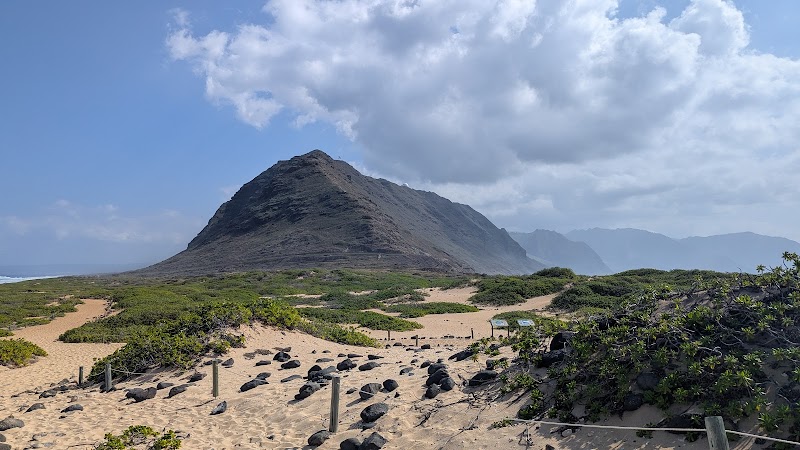Kaʻena Point Trail: Coastal Beauty at Its Finest - Kaʻena Point Trail