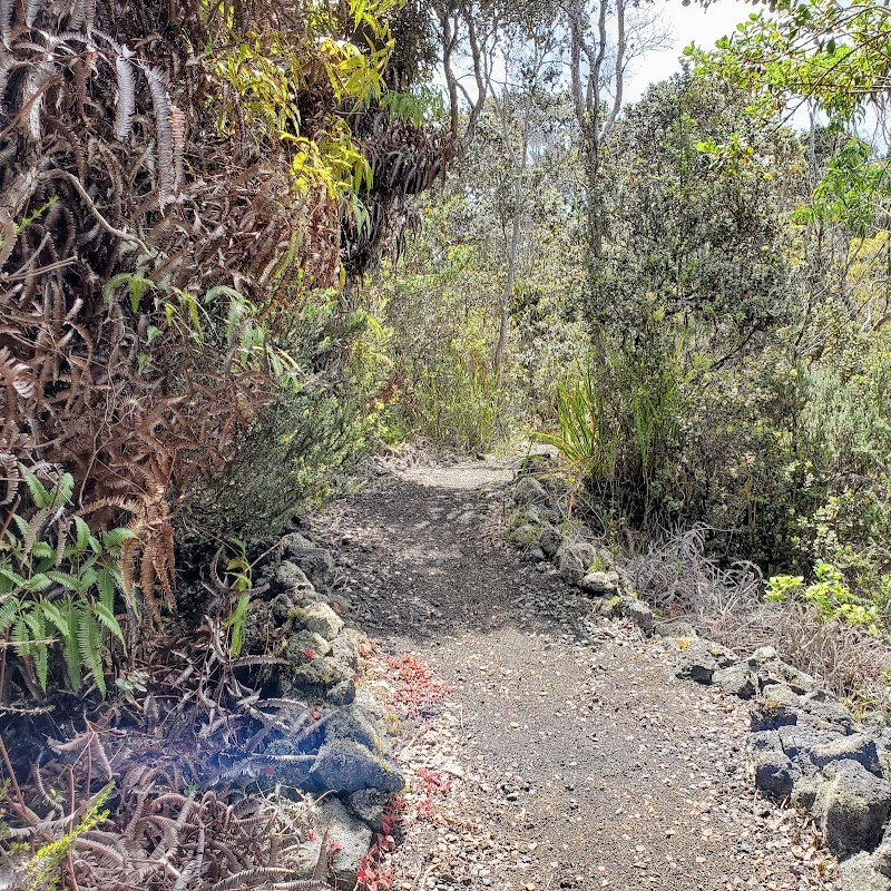 Kaulana Manu Nature Trail – A Hidden Gem in Hilo - Kaulana Manu Nature Trail