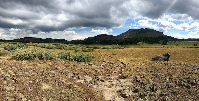 Discovering the Flat Tops Wilderness surrounding landscape