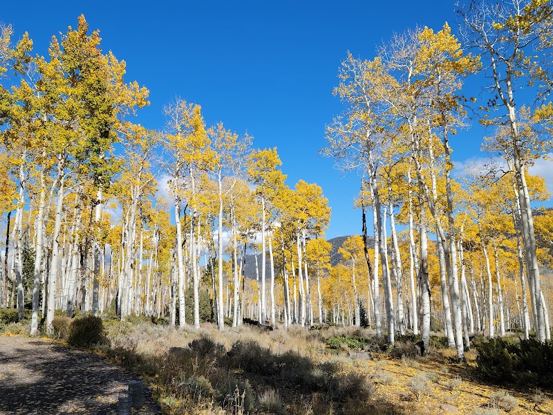 Discover the Natural Wonders of Fishlake National Forest - Fishlake National Forest