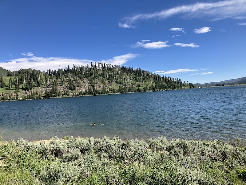 Manti-La Sal National Forest: Nature’s Green Canvas - Manti-La Sal National Forest