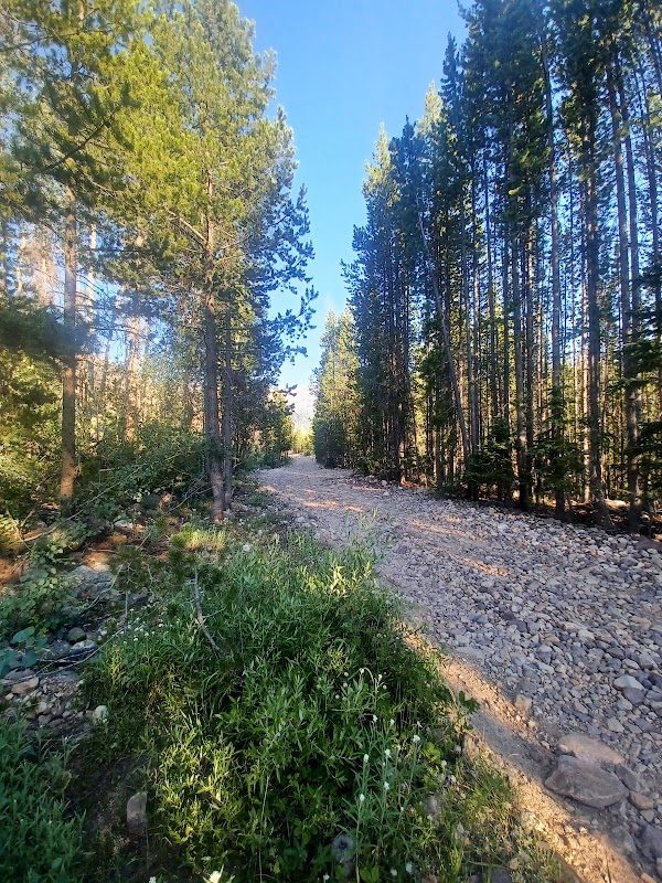 Natural Wonders of Uinta National Forest surrounding landscape