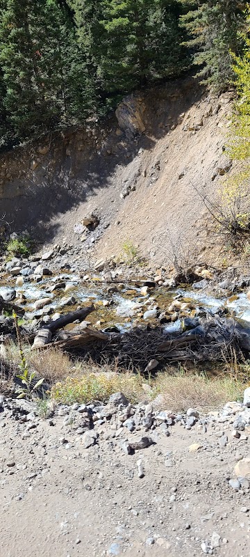 Natural Wonders of Uinta National Forest outdoor detail