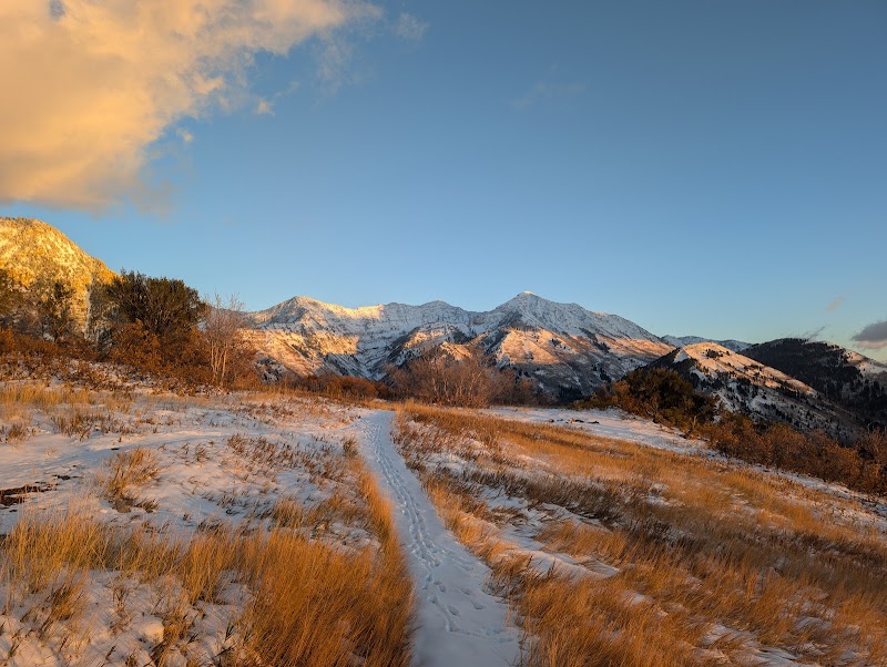 Mountain Majesty: Uinta-Wasatch-Cache National Forest outdoor detail