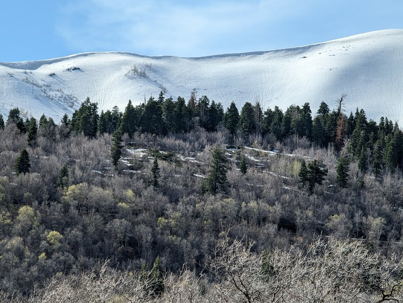Mountain Majesty: Uinta-Wasatch-Cache National Forest surrounding landscape