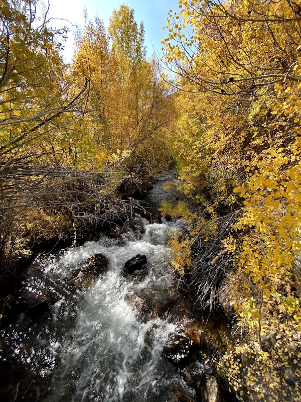 Waterfall Wonder in Bishop: Misty Falls surrounding landscape