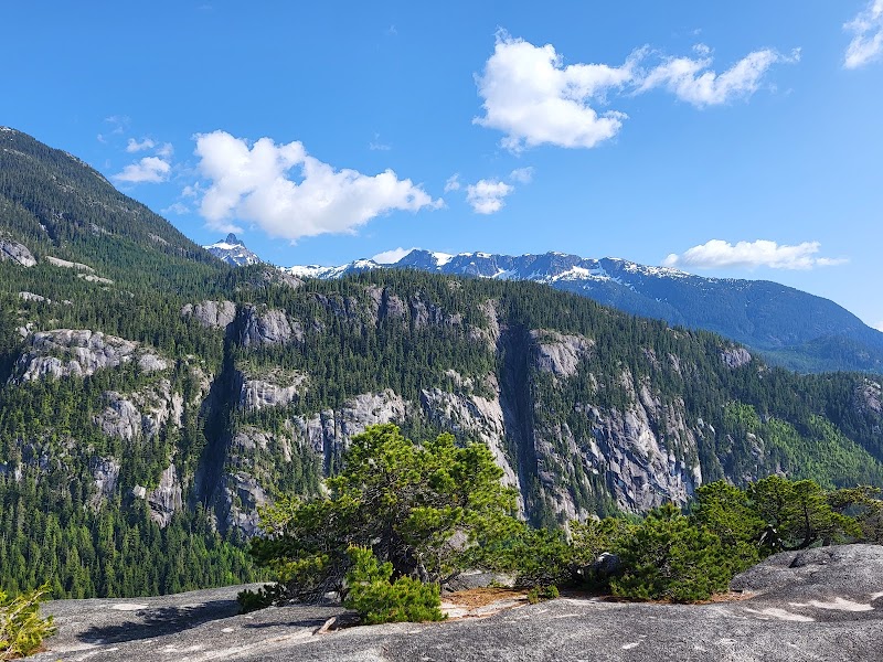 Climbing Stawamus Chief: The Majestic Granite Wonder outdoor detail
