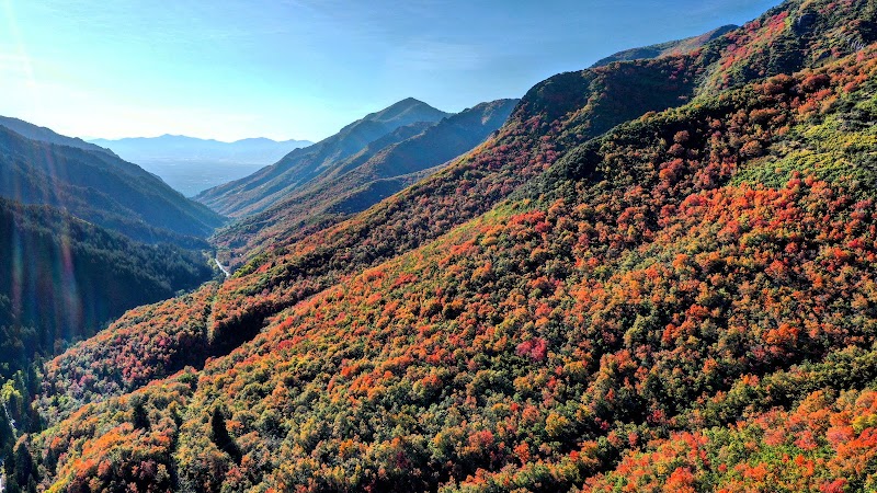 Mountains and Meadows of Millcreek Canyon outdoor detail