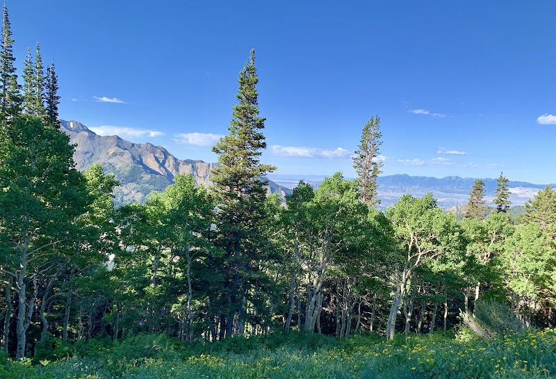 Mountains and Meadows of Millcreek Canyon surrounding landscape