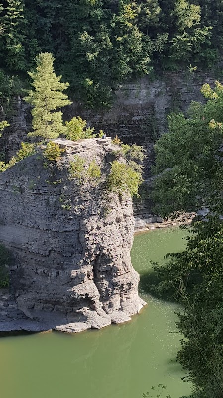 Genesee Falls & Its Majestic Cascade surrounding landscape