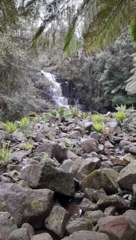 Captivating Cascades at Step Falls outdoor detail