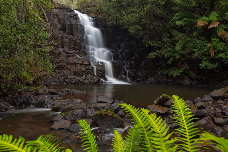 Captivating Cascades at Step Falls - Step Falls