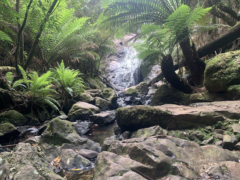 Captivating Cascades at Step Falls - Step Falls