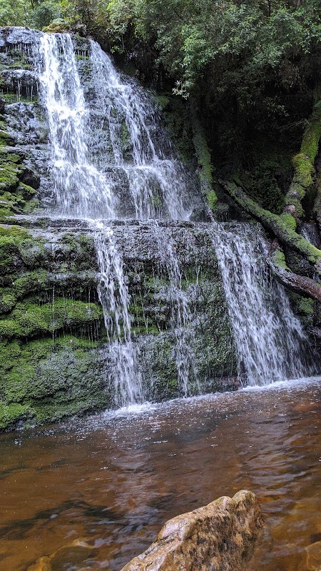 Discover the Natural Charm of Adamsons Falls - Adamsons Falls