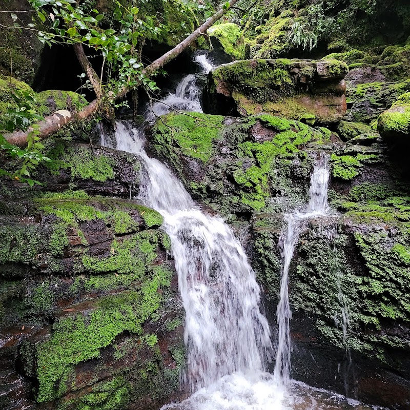 Discover the Natural Charm of Adamsons Falls - Adamsons Falls