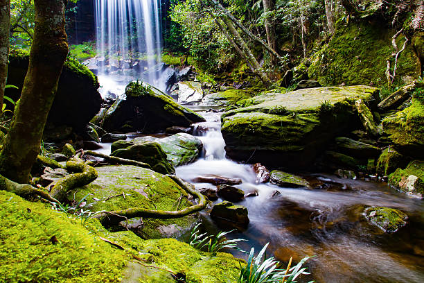 Cascade Wonder of Nelson Falls - Nelson Falls