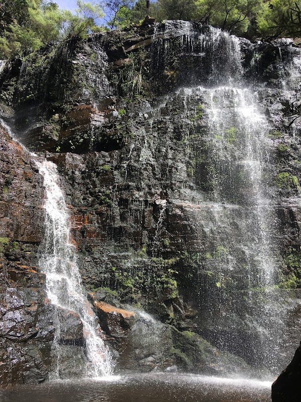 Discovering Beauchamp Falls in the Blue Mountains - Beauchamp Falls