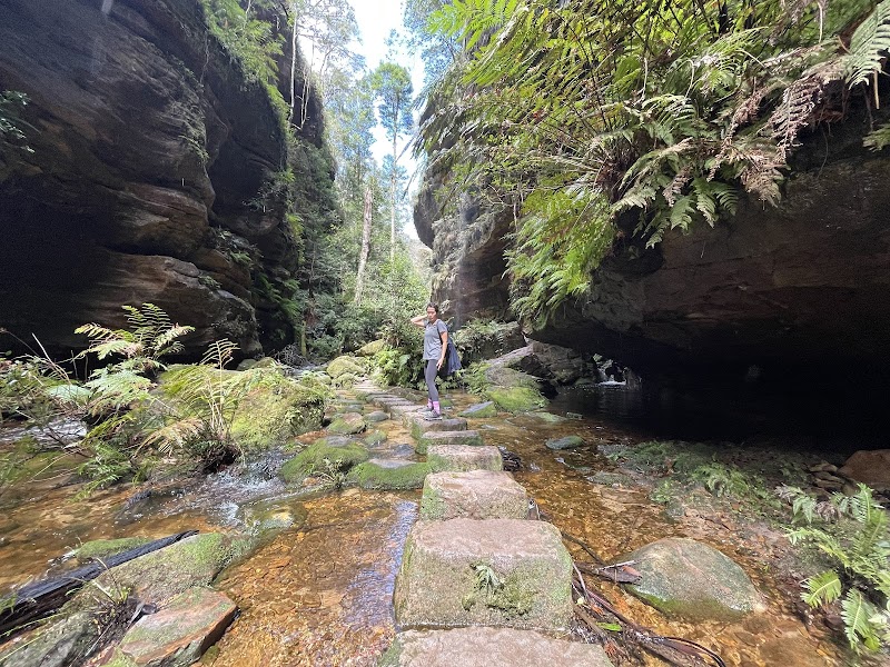 Discovering Beauchamp Falls in the Blue Mountains - Beauchamp Falls