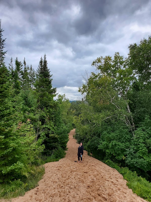 Sand Dunes and Shorelines at Sleeping Bear Point surrounding landscape