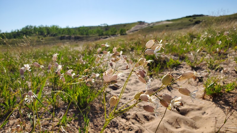 Sands of Time: Dunes Trail in Glen Arbor outdoor detail