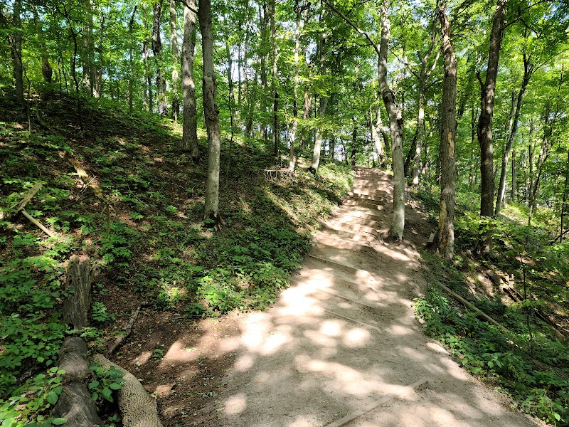 Scenic Treks on the Empire Bluff Trail surrounding landscape