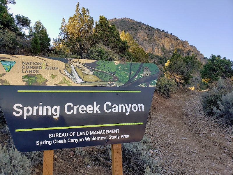 Spring Creek Canyon: A Natural Gem in Kanarraville outdoor detail