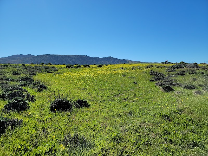Santa Cruz Island Escapade surrounding landscape