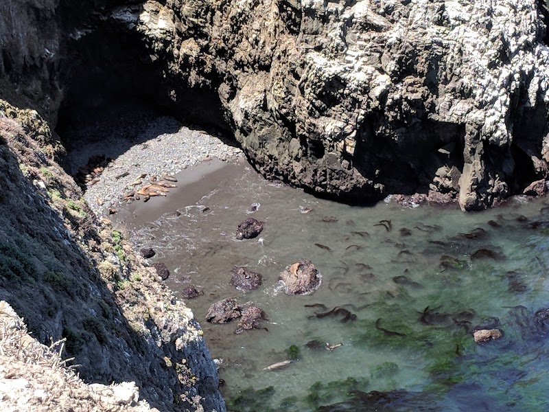 Coastal Wonders: Experience Cathedral Cove surrounding landscape