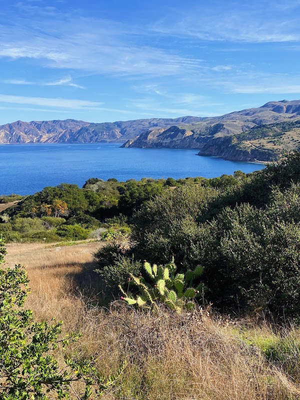Coastal Wonders of Pelican Bay Viewpoint surrounding landscape