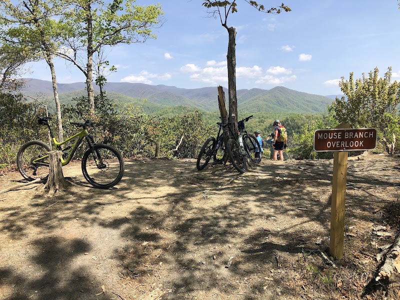Mountain Views at Mouse Branch Overlook surrounding landscape