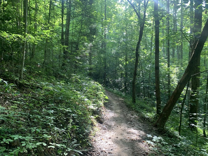 Cycling Adventures in Tsali Campground - Tsali Campground, US Forest Service, Cheoah Ranger District