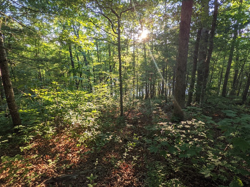 Cycling Adventures in Tsali Campground surrounding landscape