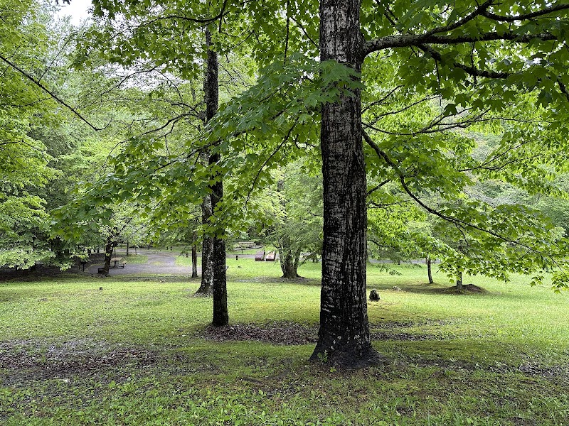 Cycling Adventures in Tsali Campground - Tsali Campground, US Forest Service, Cheoah Ranger District