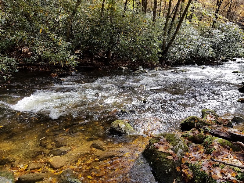 Discover the Breathtaking Fontana Lake Overlook surrounding landscape