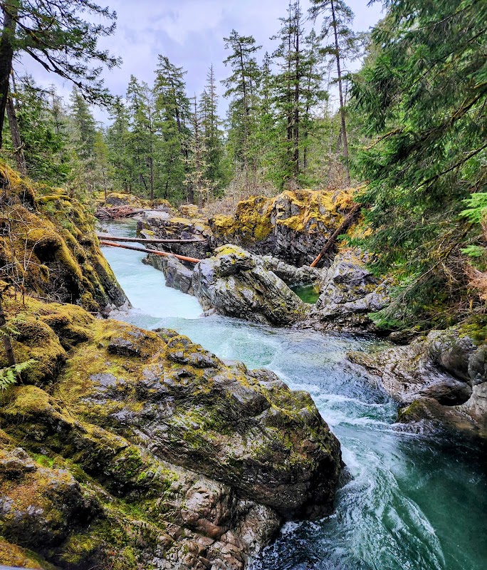 Waterfalls & Wilderness: Little Qualicum Falls Provincial Park - Little Qualicum Falls Provincial Park