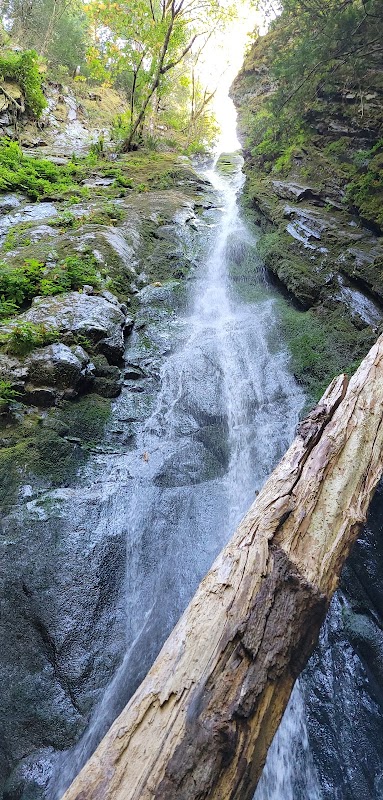Whispers of Water: Goldstream Falls outdoor detail