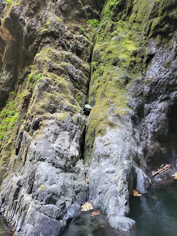 Whispers of Water: Goldstream Falls surrounding landscape