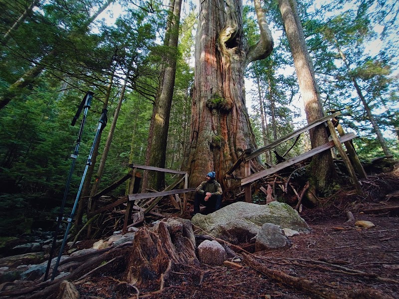 The Hidden Gem of North Vancouver: Kennedy Falls - Kennedy Falls